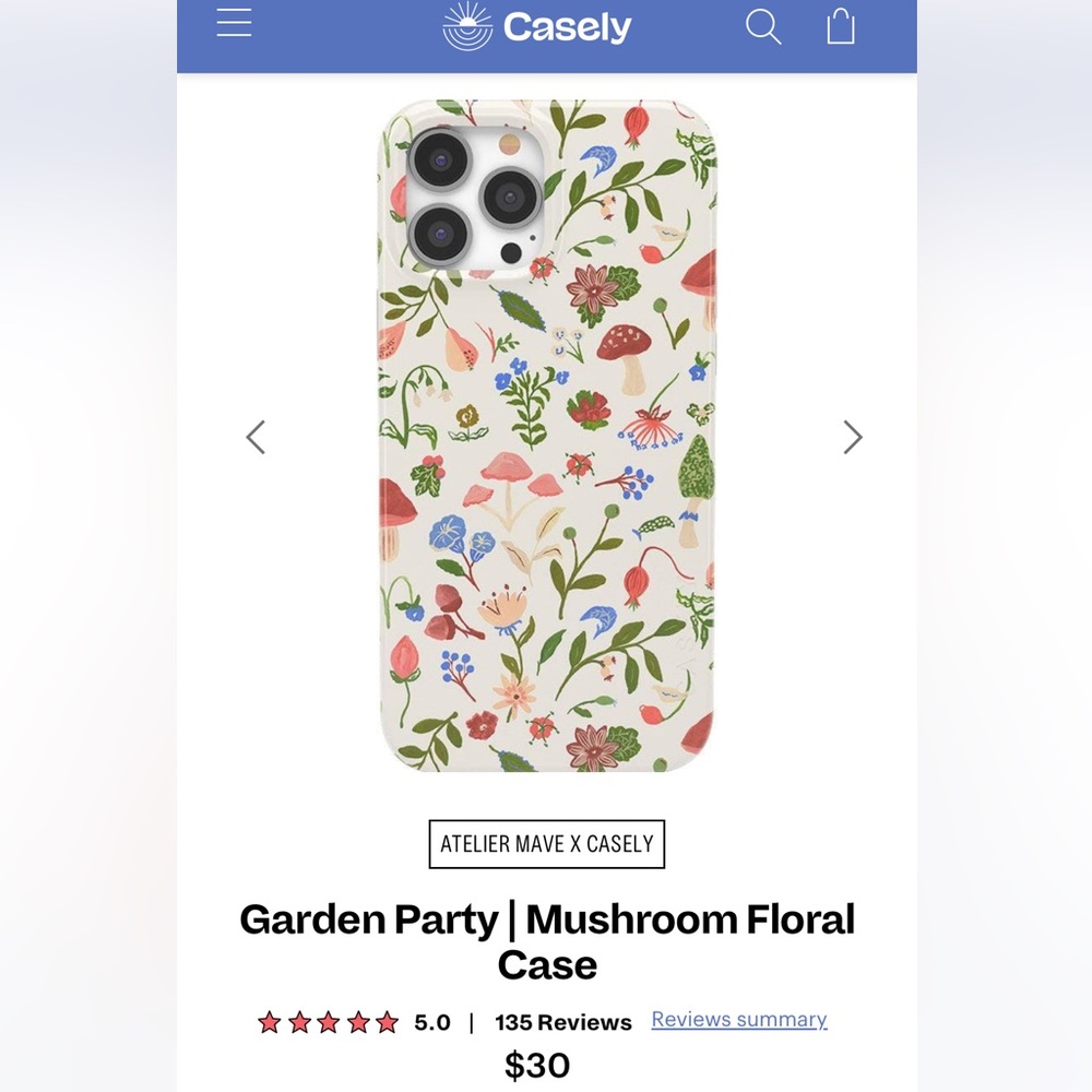 iPhone 13 Pro Case